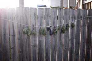Innovative Uses for Residential Fencing: Beyond the Basics