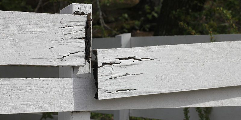White wooden fence with peeling paint and visible cracks in the boards.